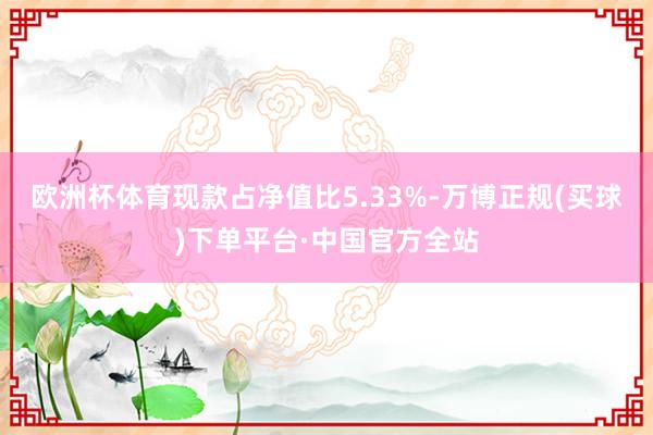 欧洲杯体育现款占净值比5.33%-万博正规(买球)下单平台·中国官方全站