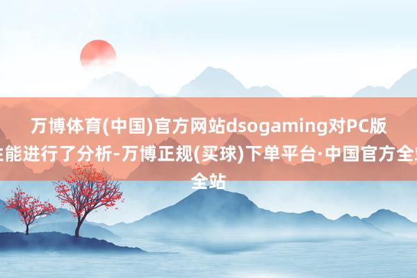 万博体育(中国)官方网站dsogaming对PC版性能进行了分析-万博正规(买球)下单平台·中国官方全站