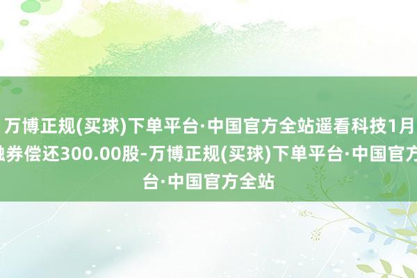万博正规(买球)下单平台·中国官方全站遥看科技1月9日融券偿还300.00股-万博正规(买球)下单平台·中国官方全站