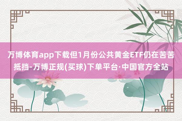 万博体育app下载但1月份公共黄金ETF仍在苦苦抵挡-万博正规(买球)下单平台·中国官方全站