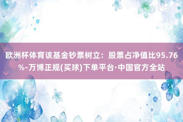 欧洲杯体育该基金钞票树立：股票占净值比95.76%-万博正规(买球)下单平台·中国官方全站